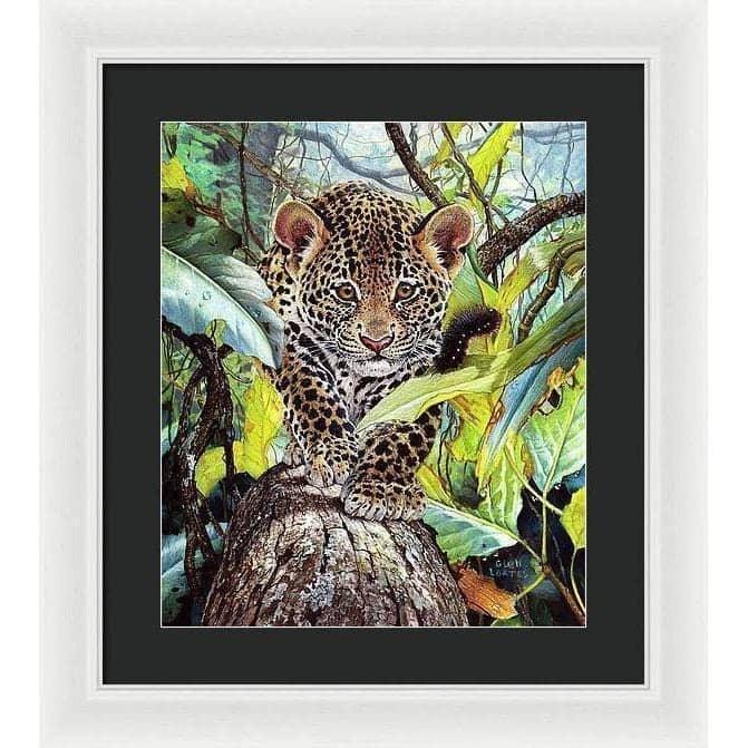 Jaguar Cub - Framed Print | Artwork by Glen Loates