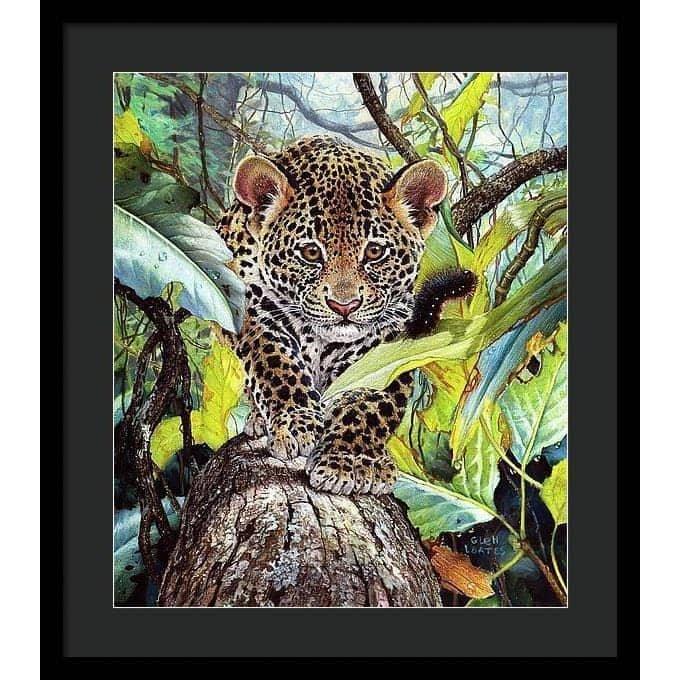 Jaguar Cub - Framed Print | Artwork by Glen Loates
