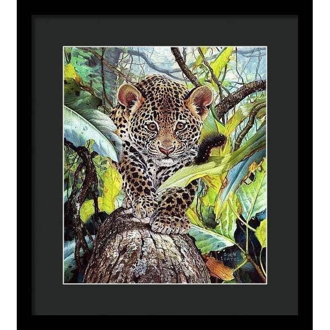 Jaguar Cub - Framed Print | Artwork by Glen Loates