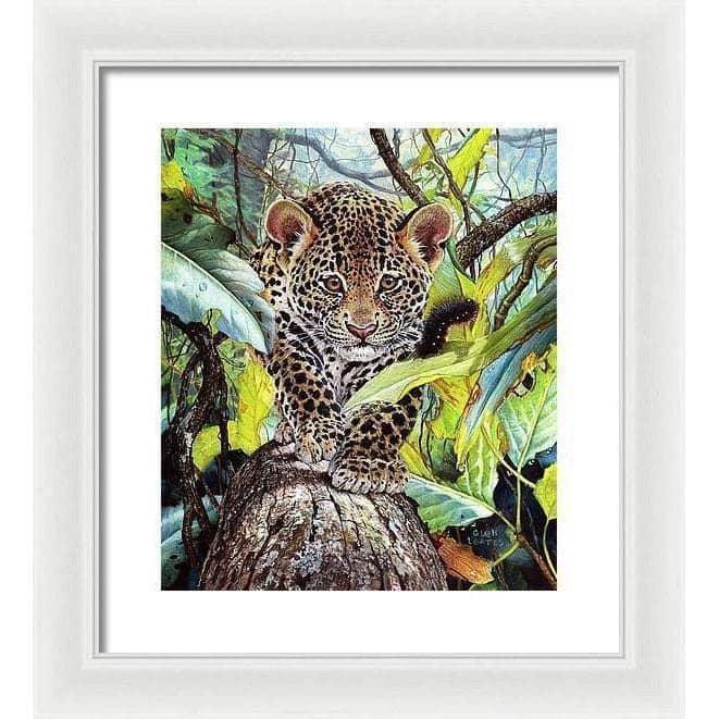 Jaguar Cub - Framed Print | Artwork by Glen Loates