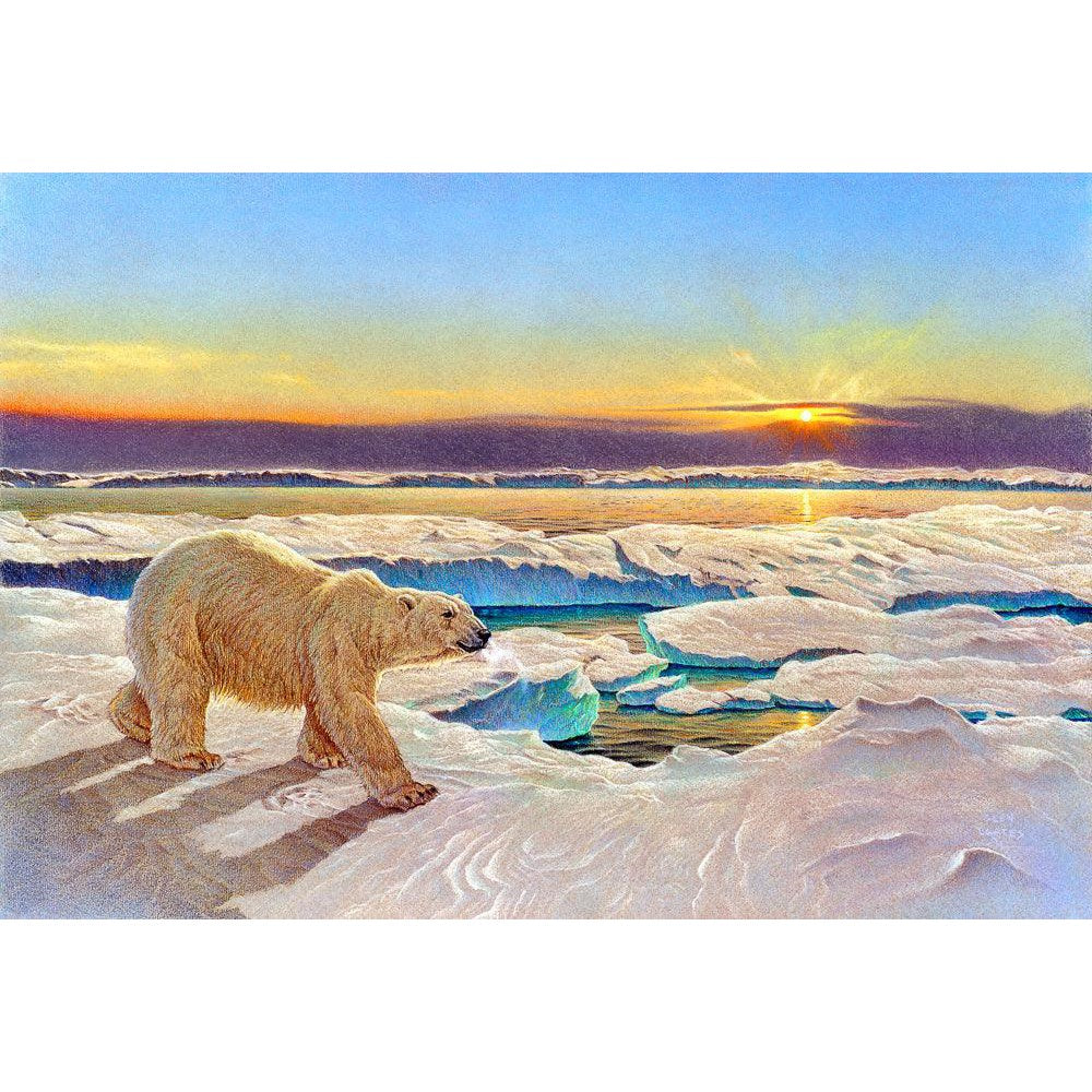 King of the Midnight Sun - Canvas Print | Artwork by Glen Loates