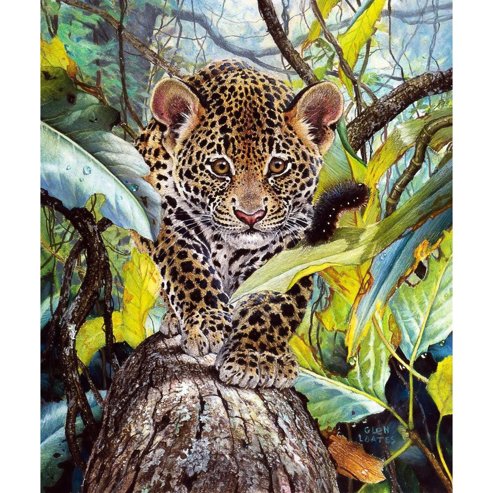 King of the Midnight Sun - Canvas Print | Artwork by Glen Loates