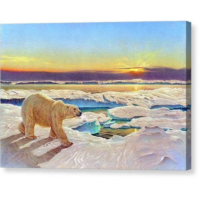 King of the Midnight Sun - Canvas Print | Artwork by Glen Loates