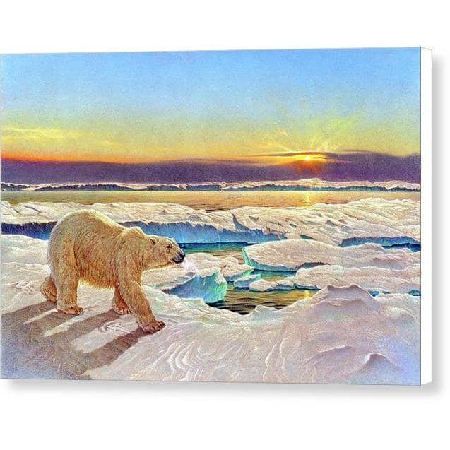 King of the Midnight Sun - Canvas Print | Artwork by Glen Loates
