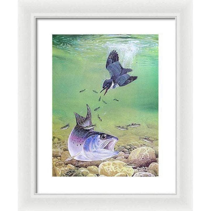 Kingfisher And Rainbow Trout - Framed Print | Artwork by Glen Loates