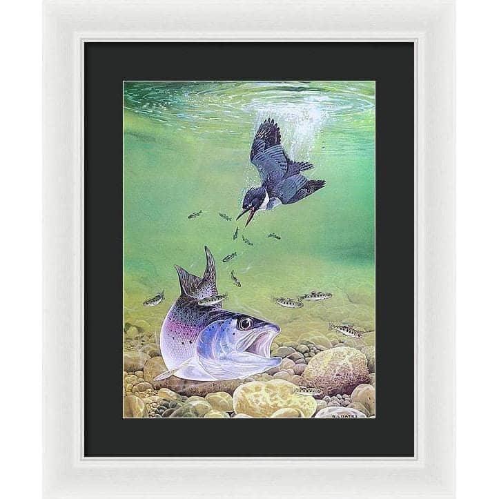 Kingfisher And Rainbow Trout - Framed Print | Artwork by Glen Loates