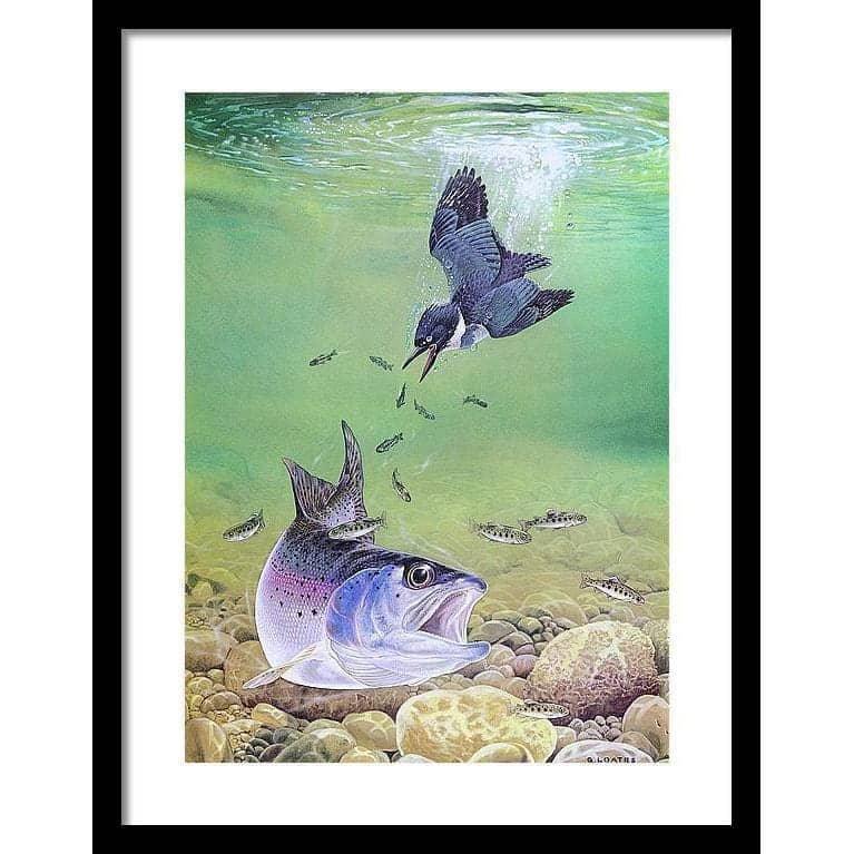 Kingfisher And Rainbow Trout - Framed Print | Artwork by Glen Loates