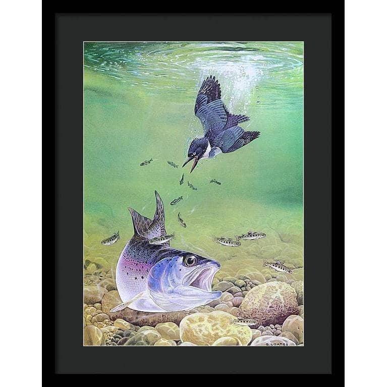 Kingfisher And Rainbow Trout - Framed Print | Artwork by Glen Loates