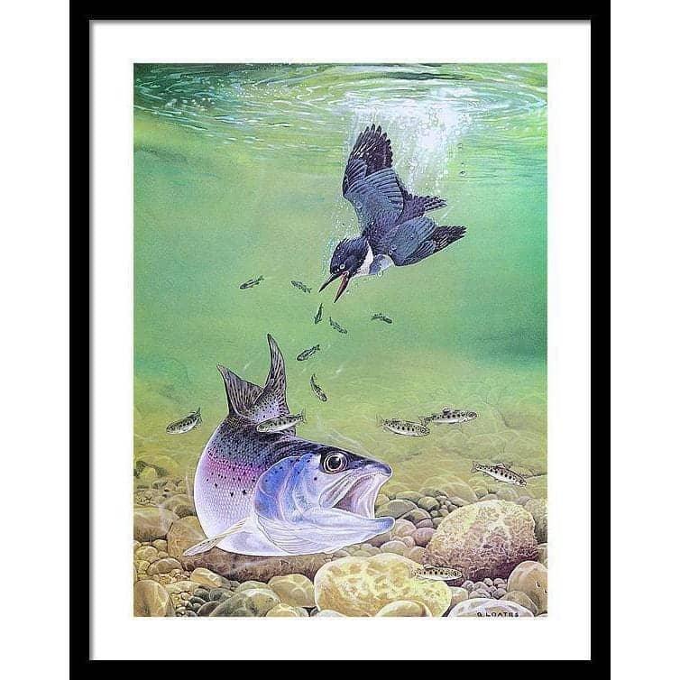 Kingfisher And Rainbow Trout - Framed Print | Artwork by Glen Loates