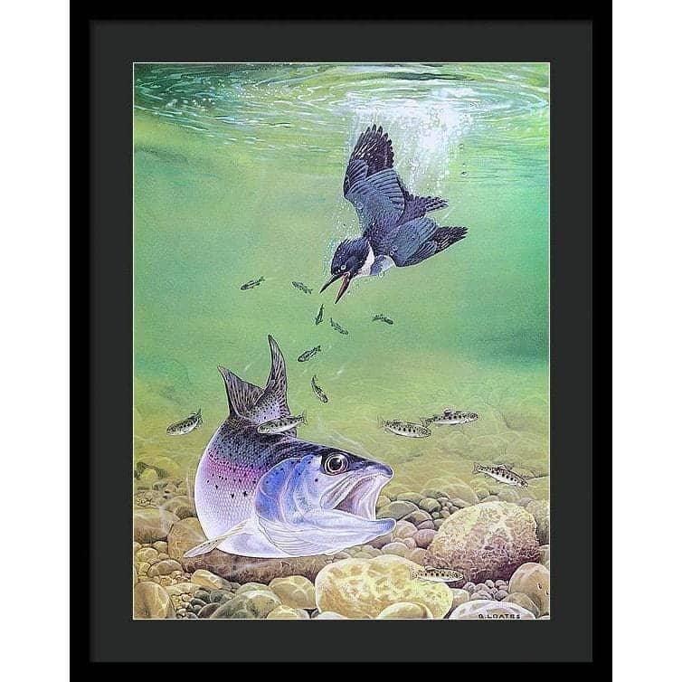Kingfisher And Rainbow Trout - Framed Print | Artwork by Glen Loates