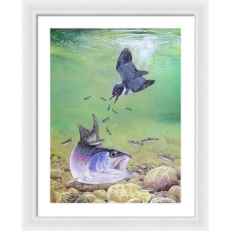 Kingfisher And Rainbow Trout - Framed Print | Artwork by Glen Loates