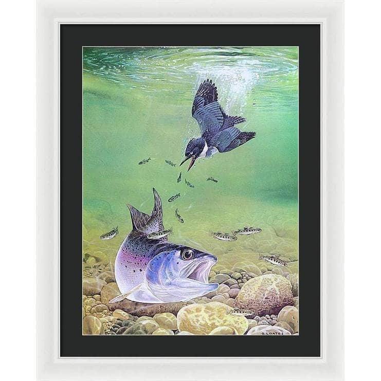 Kingfisher And Rainbow Trout - Framed Print | Artwork by Glen Loates