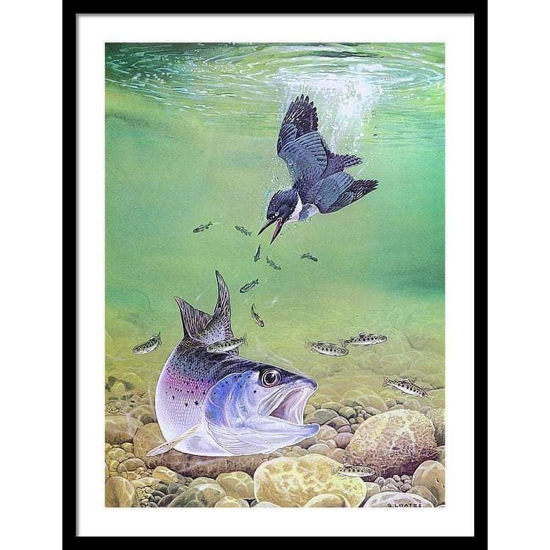 Kingfisher And Rainbow Trout - Framed Print | Artwork by Glen Loates