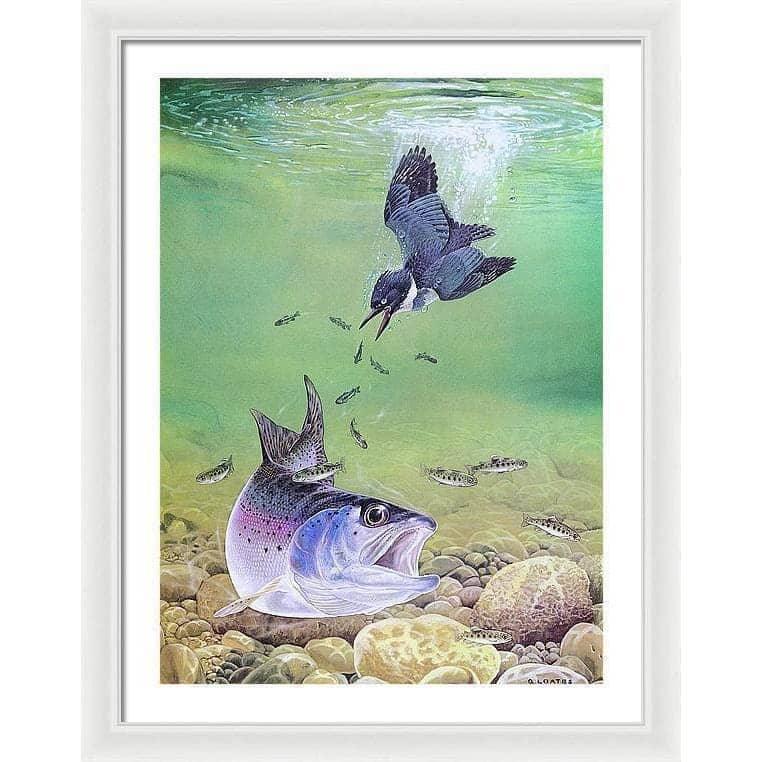 Kingfisher And Rainbow Trout - Framed Print | Artwork by Glen Loates