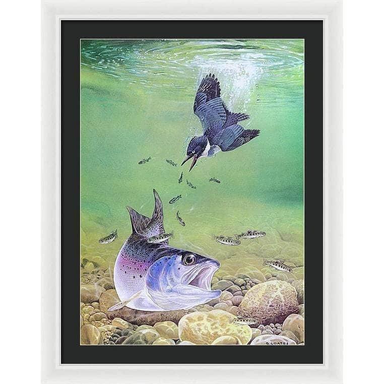 Kingfisher And Rainbow Trout - Framed Print | Artwork by Glen Loates