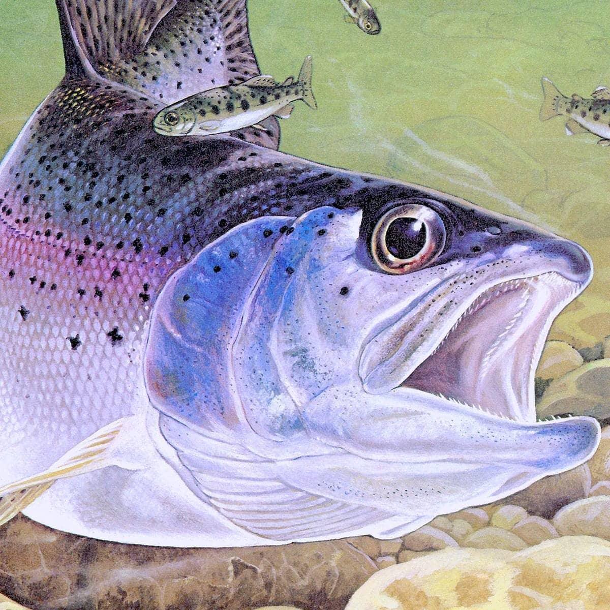 Kingfisher And Rainbow Trout - Framed Print | Artwork by Glen Loates