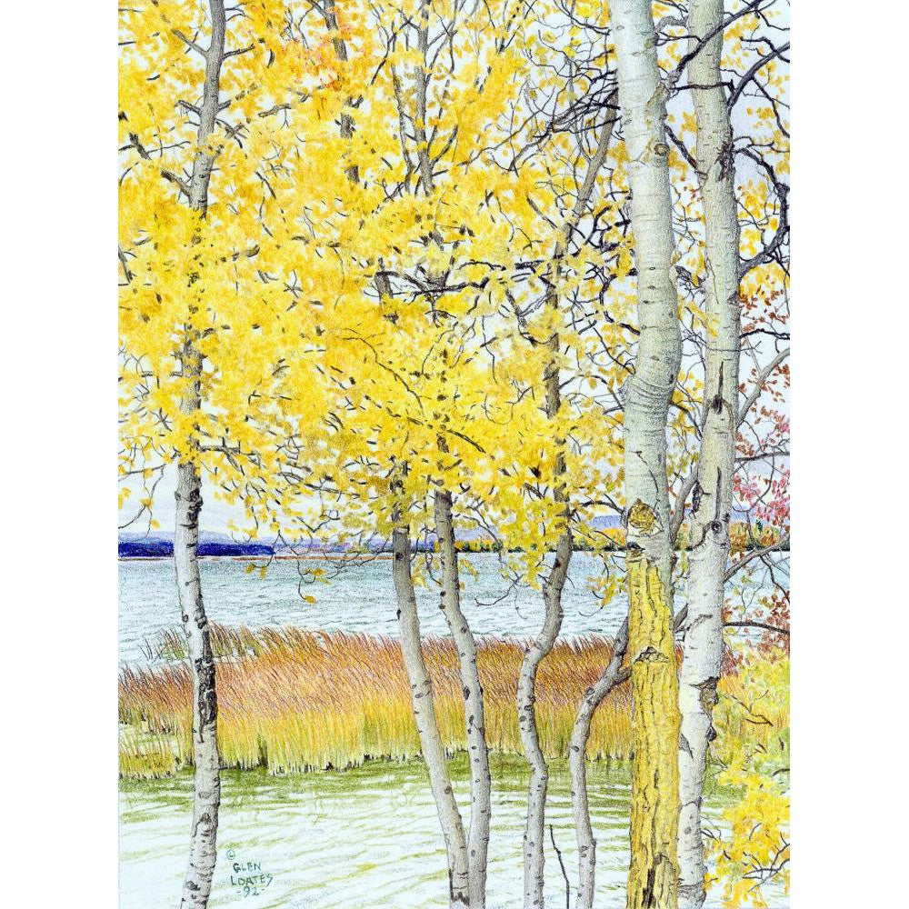 Lac Cardinal Peace River - Art Print | Artwork by Glen Loates