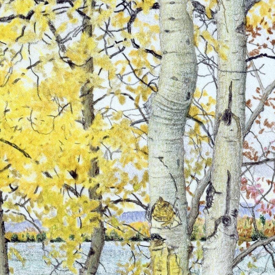 Lac Cardinal Peace River - Canvas Print | Artwork by Glen Loates