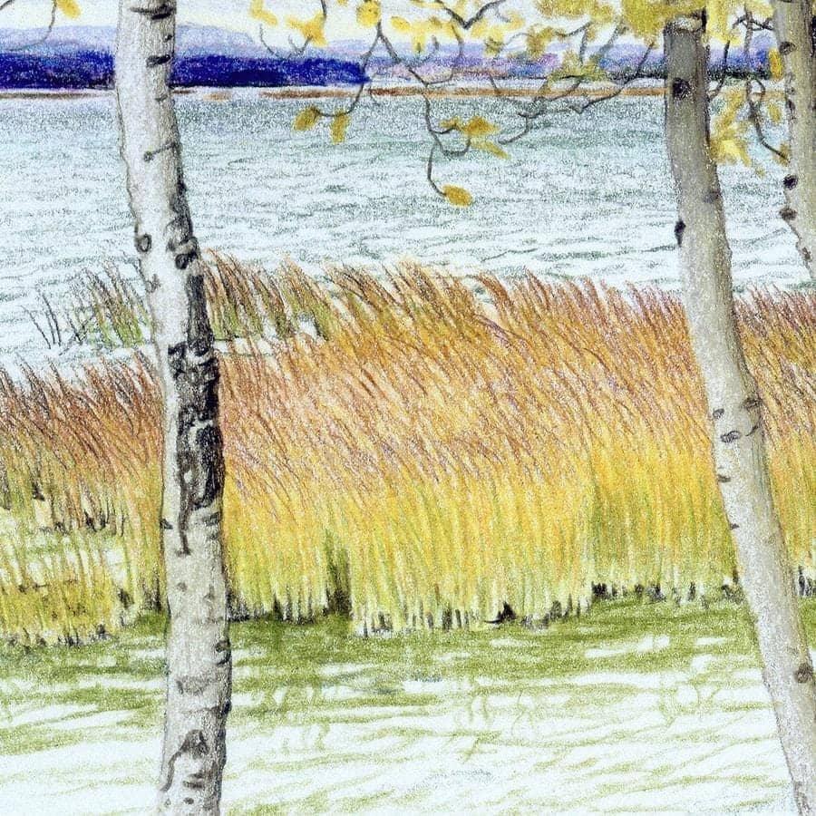 Lac Cardinal Peace River - Framed Print | Artwork by Glen Loates
