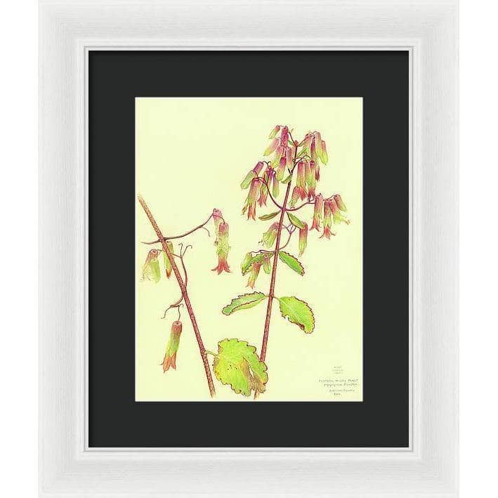 Life Plant - Framed Print | Artwork by Glen Loates