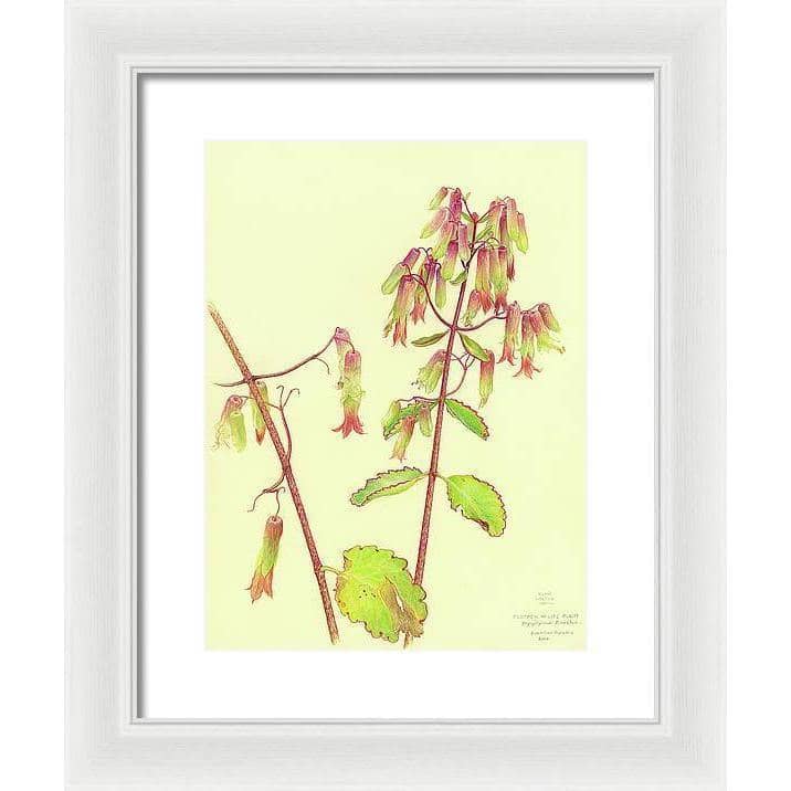 Life Plant - Framed Print | Artwork by Glen Loates