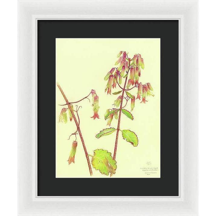 Life Plant - Framed Print | Artwork by Glen Loates