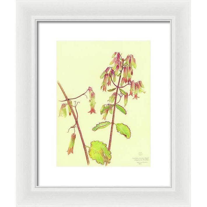 Life Plant - Framed Print | Artwork by Glen Loates