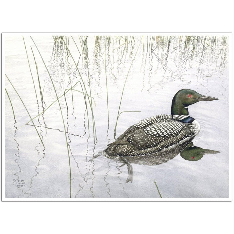 Loon - Art Print | Artwork by Glen Loates