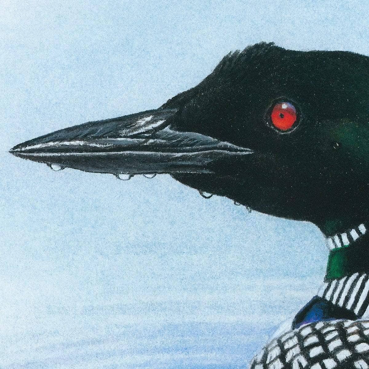 Loon in Calm Blue Waters - Canvas Print | Artwork by Glen Loates
