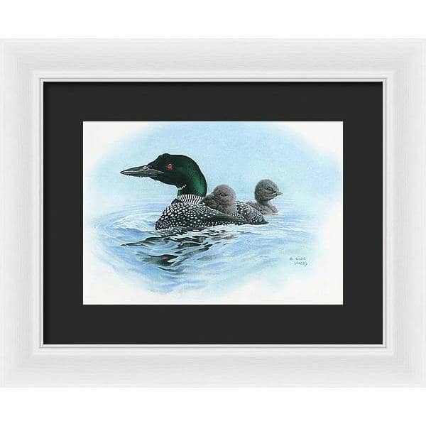 Loon in Calm Blue Waters - Framed Print | Artwork by Glen Loates