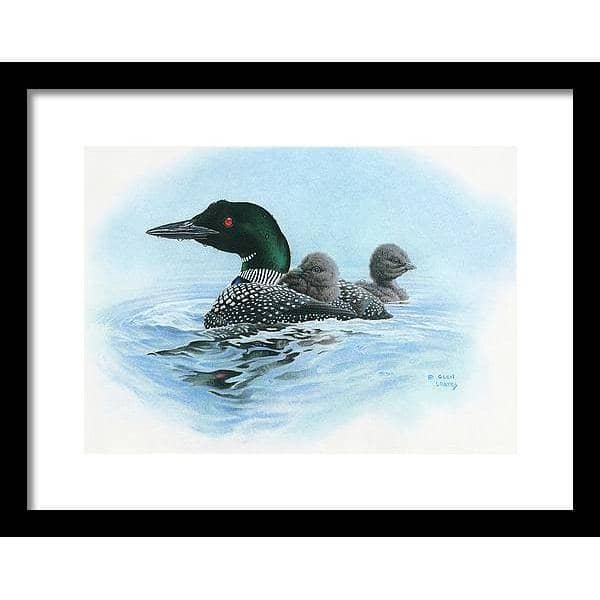 Loon in Calm Blue Waters - Framed Print | Artwork by Glen Loates