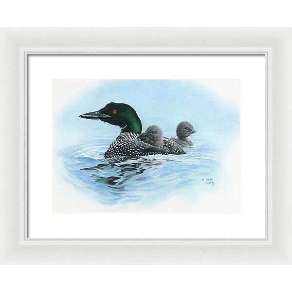Loon in Calm Blue Waters - Framed Print | Artwork by Glen Loates