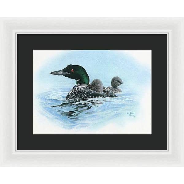 Loon in Calm Blue Waters - Framed Print | Artwork by Glen Loates