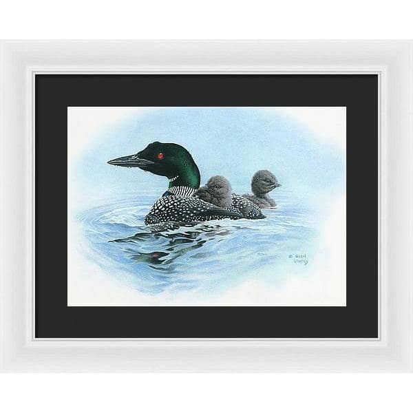 Loon in Calm Blue Waters - Framed Print | Artwork by Glen Loates