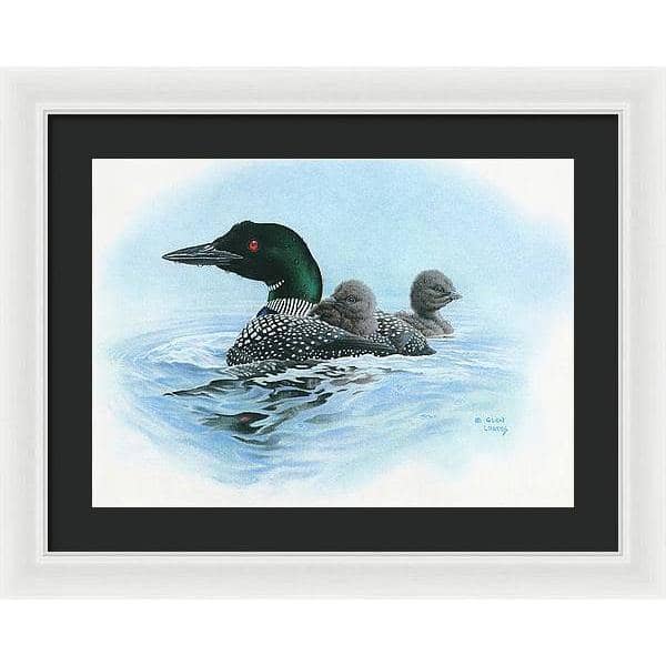 Loon in Calm Blue Waters - Framed Print | Artwork by Glen Loates