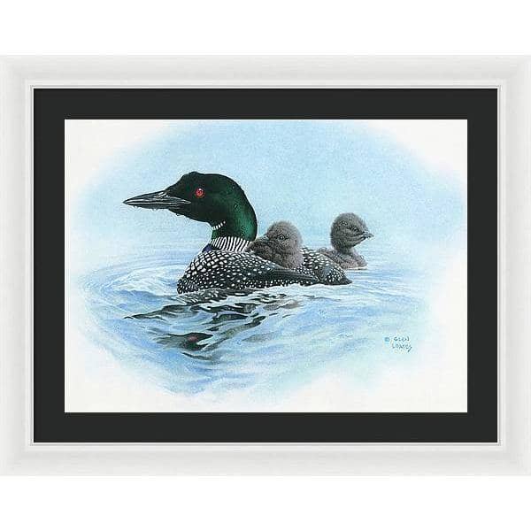Loon in Calm Blue Waters - Framed Print | Artwork by Glen Loates