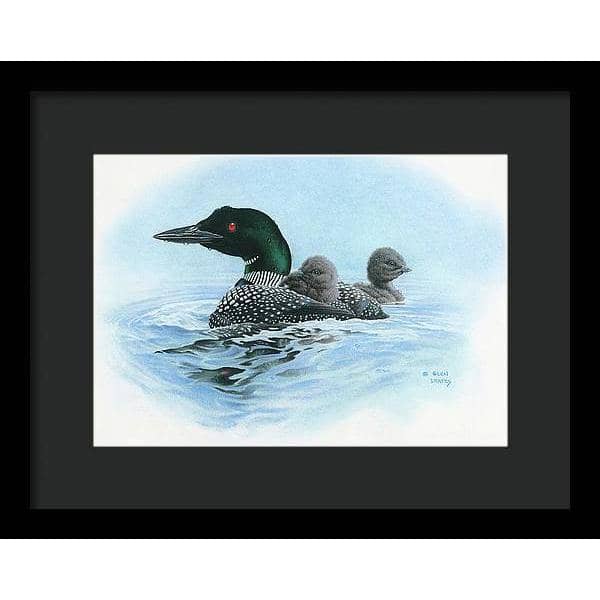 Loon in Calm Blue Waters - Framed Print | Artwork by Glen Loates