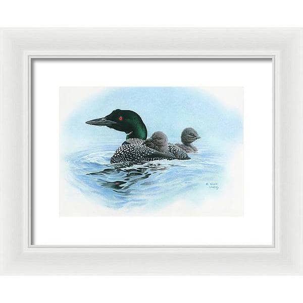 Loon in Calm Blue Waters - Framed Print | Artwork by Glen Loates