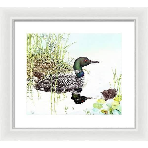 Loon with Young - Framed Print | Artwork by Glen Loates