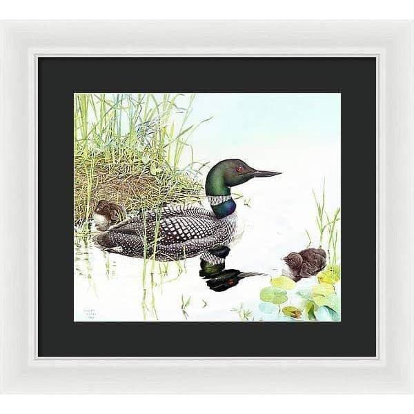 Loon with Young - Framed Print | Artwork by Glen Loates