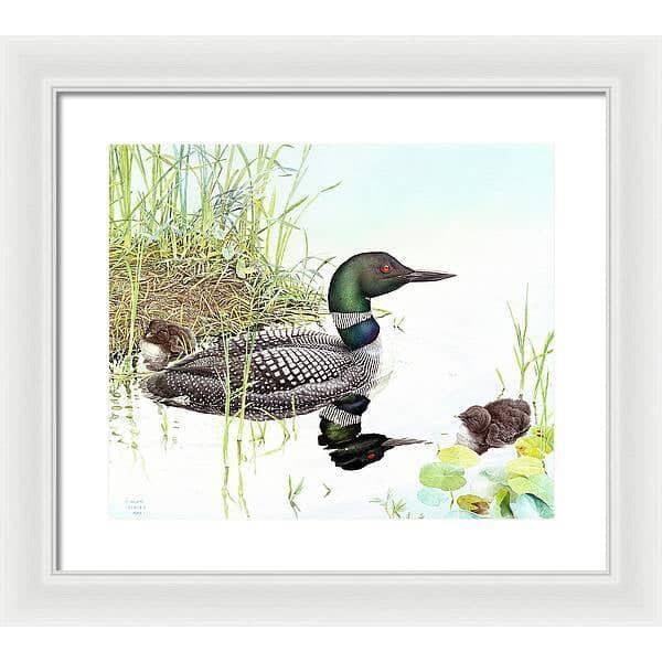 Loon with Young - Framed Print | Artwork by Glen Loates