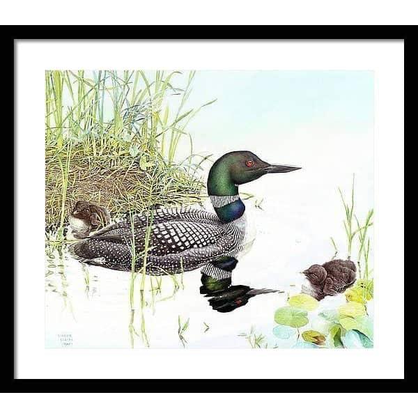 Loon with Young - Framed Print | Artwork by Glen Loates