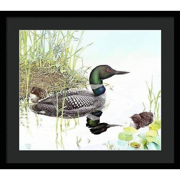 Loon with Young - Framed Print | Artwork by Glen Loates
