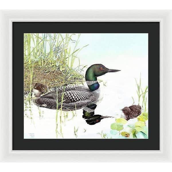 Loon with Young - Framed Print | Artwork by Glen Loates