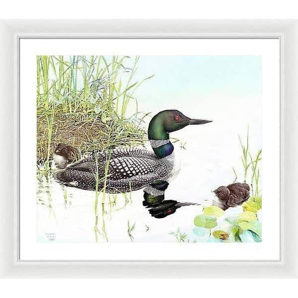 Loon with Young - Framed Print | Artwork by Glen Loates