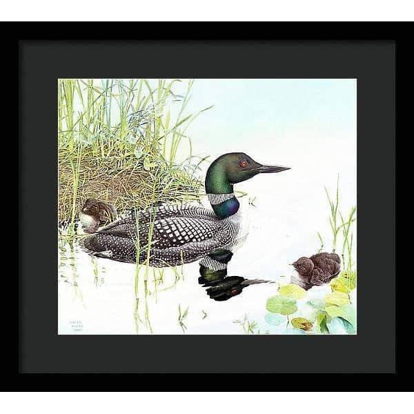Loon with Young - Framed Print | Artwork by Glen Loates