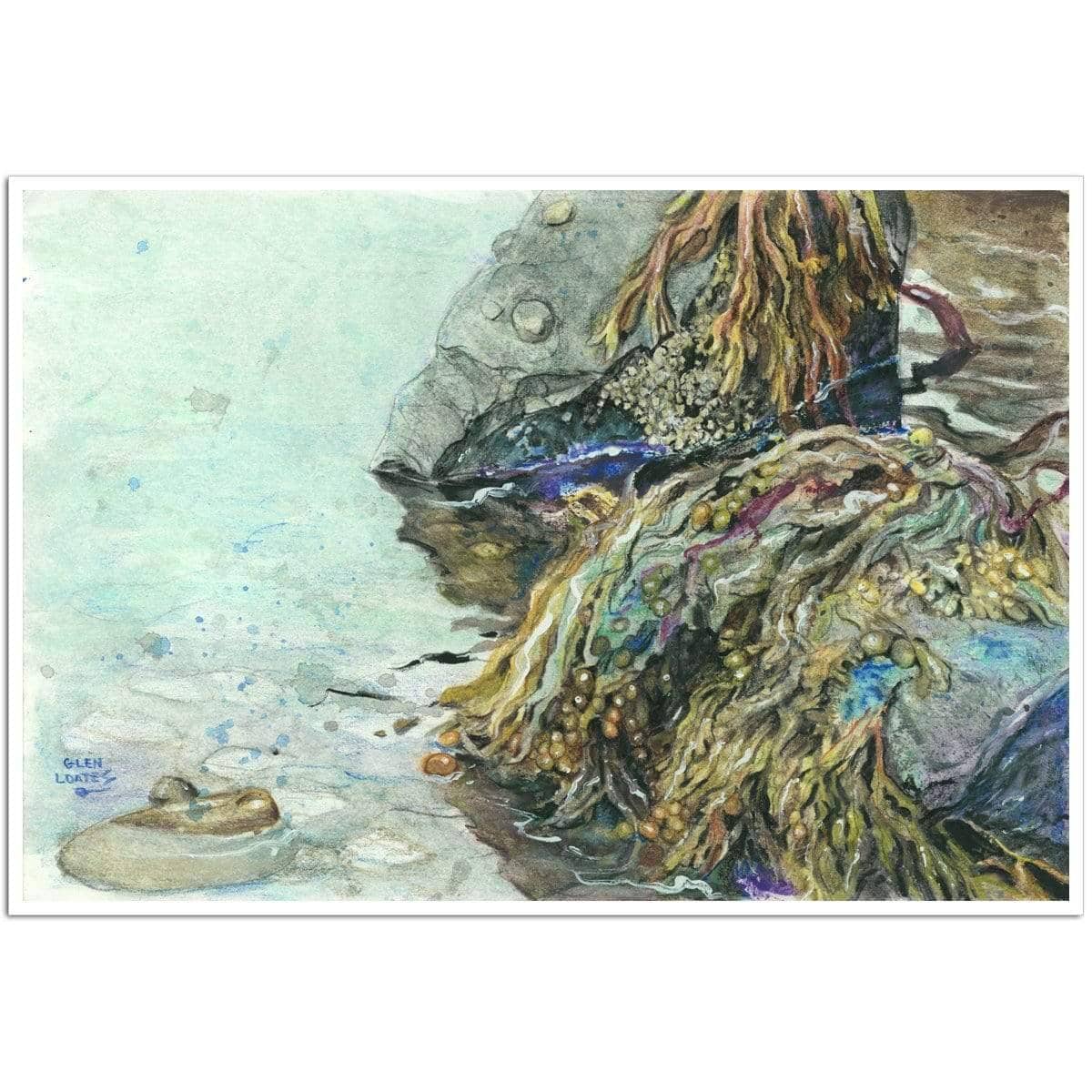 Low Tide Halifax Nova Scotia - Art Print | Artwork by Glen Loates