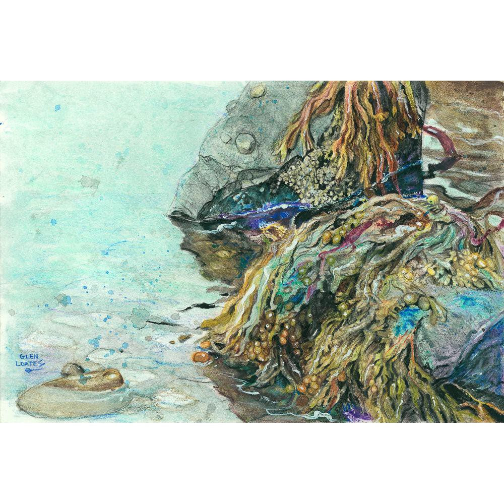 Low Tide Halifax Nova Scotia - Framed Print | Artwork by Glen Loates