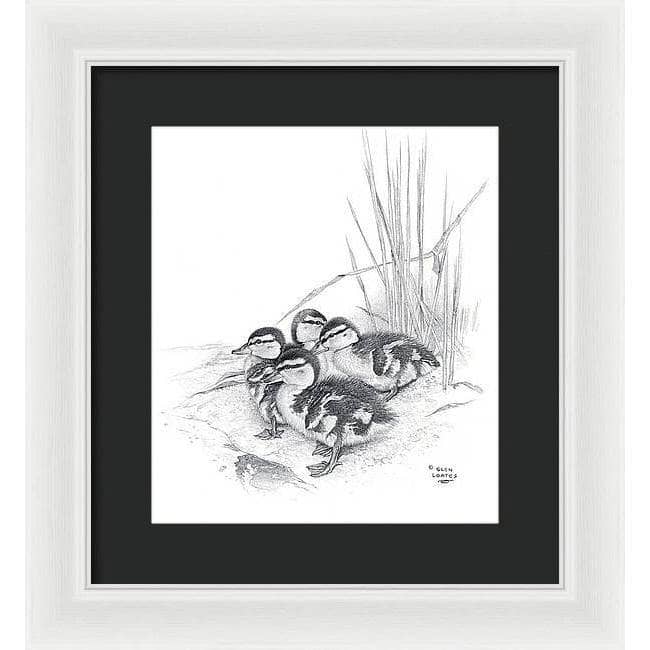 Mallard Ducklings - Framed Print | Artwork by Glen Loates