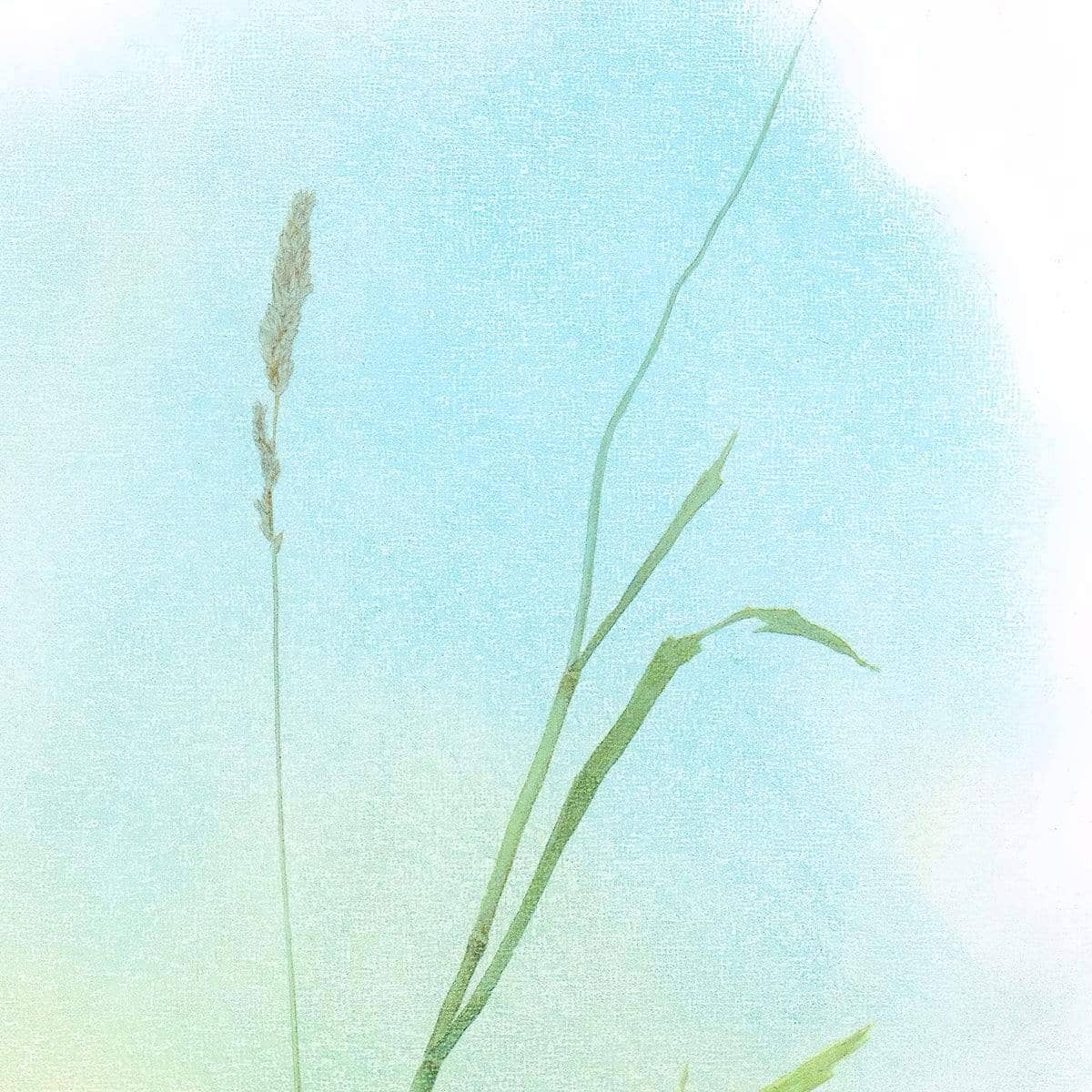 Meadow Lark - Art Print | Artwork by Glen Loates